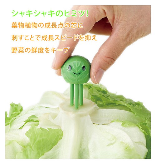 �x�W�V���L����� 2�g COGIT �R�W�b�g �ʔ� �N�x���L�[�v ��ؒ����� ���킢�� �h�������ȒP �N�x�ێ��s�b�N �ׂ����Ⴋ����� �s�b�N ���^�X �L���x�c ���� �u���b�R���[�Ȃ� �V���L�V���L_3