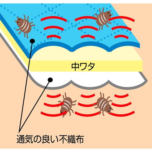 �h���C���h���C�z���h�_�j �J�[�y�b�g���[��_4