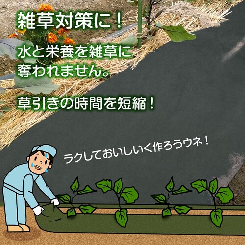 ���p�h���V�[�g�@�G���ӂ����E�l�@50cm�~20��_1