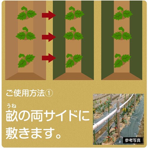 ���p�h���V�[�g�@�G���ӂ����E�l�@50cm�~20��_2