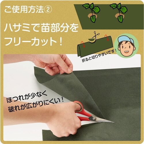 ���p�h���V�[�g�@�G���ӂ����E�l�@50cm�~20��_3