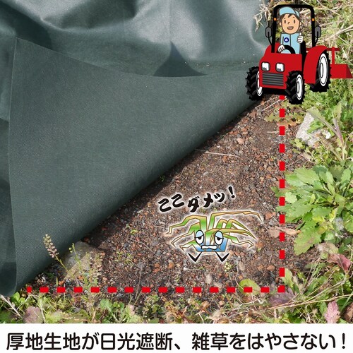 ���p�h���V�[�g�@�G���ӂ����E�l�@50cm�~20��_4