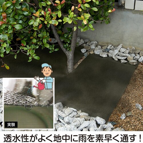 ���p�h���V�[�g�@�G���ӂ����E�l�@50cm�~20��_5