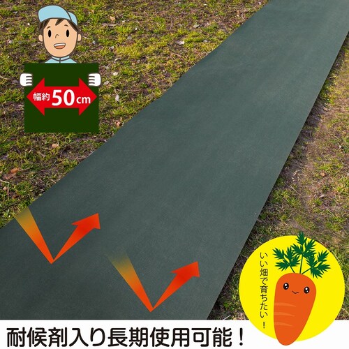 ���p�h���V�[�g�@�G���ӂ����E�l�@50cm�~20��_6