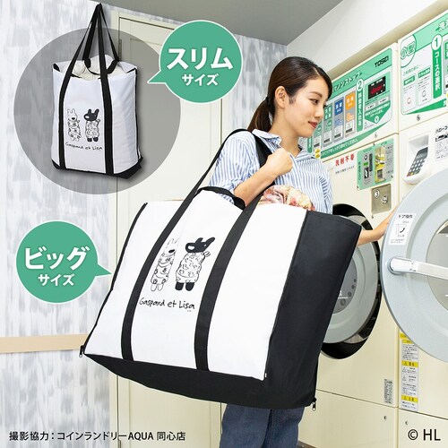 ���T�ƃK�X�p�[�� ���z�c������傫�ȃ����h���[�o�b�O_4