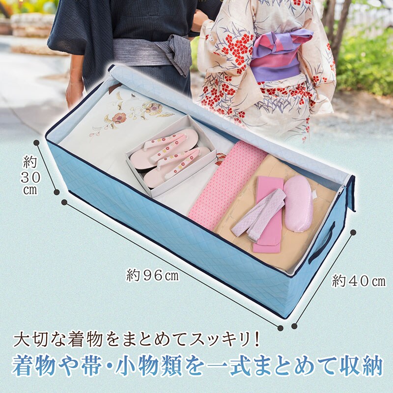 ドライ＆ドライ吸湿防ダニ着物収納ケース SE1037838│アイリスオーヤマ