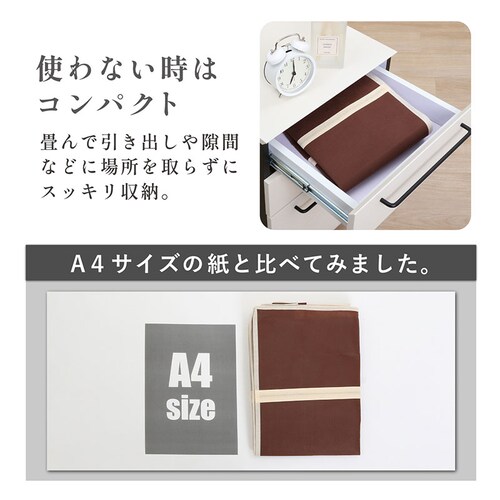 �H�ѕz�c�ۊǑ܁@������t�i�u���E���j_5