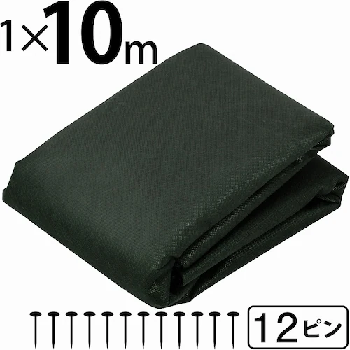 ���|�p�h���V�[�g1�~10���N�J���[���{�q�K��12�{�t��_1