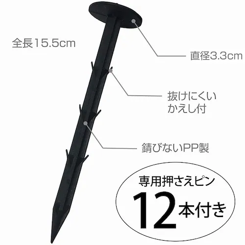 ���|�p�h���V�[�g1�~10���N�J���[���{�q�K��12�{�t��_2