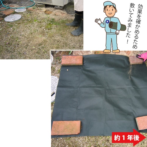 ���|�p�h���V�[�g�@1�~2��_3