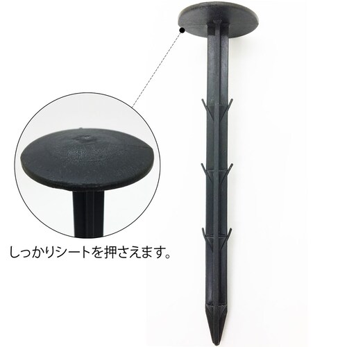 ���|�p�h���V�[�g�p�������s�� 60�{�g_3