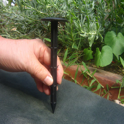 ���|�p�h���V�[�g�p�������s�� 60�{�g_4