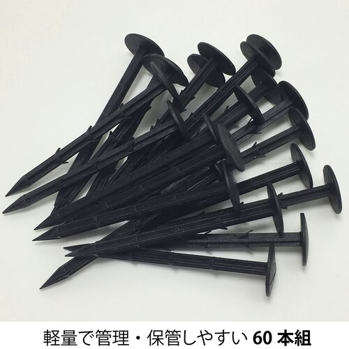 ���|�p�h���V�[�g�p�������s�� 60�{�g_6