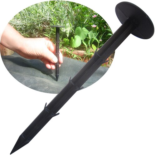 ���|�p�h���V�[�g�p�������s�� 60�{�g_7