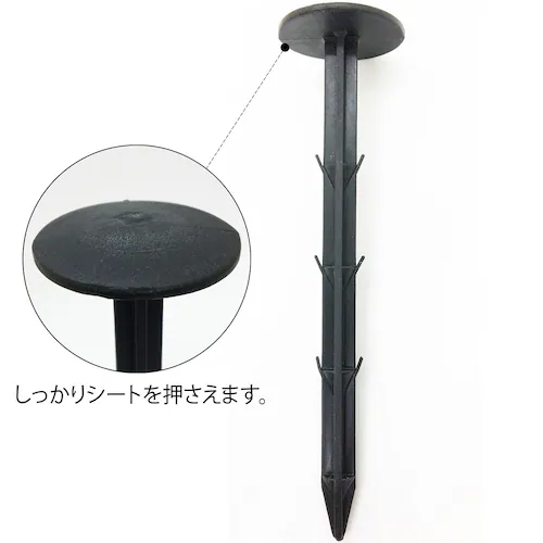 ���|�p�h���V�[�g�p�������s�� 120�{�g_3