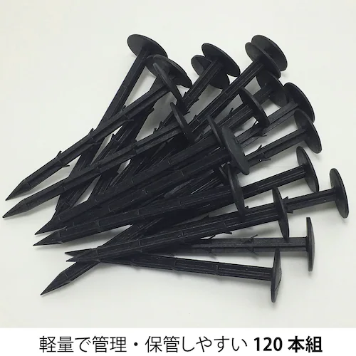 ���|�p�h���V�[�g�p�������s�� 120�{�g_6