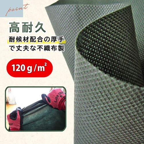 �s�D�z���t�S�� 230L_3