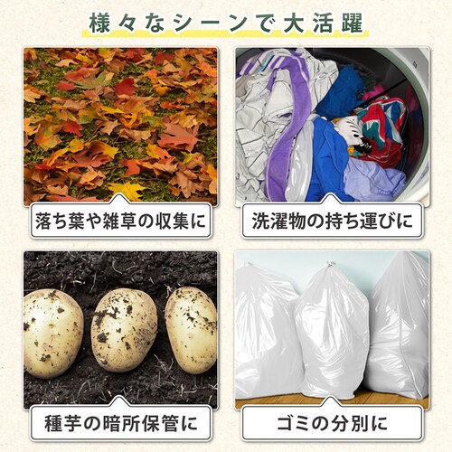 �s�D�z���t�S�� 230L_6