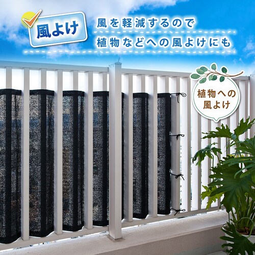 �Ȃ��[���x�����_�ډB���V�[�g_6