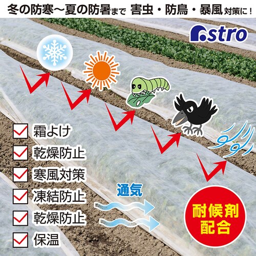 ���悯�E���悯�ی�V�[�g 1.6�~5m_1