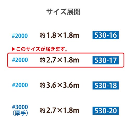 �u���[�V�[�g #2000 1.8�~2.7m_5