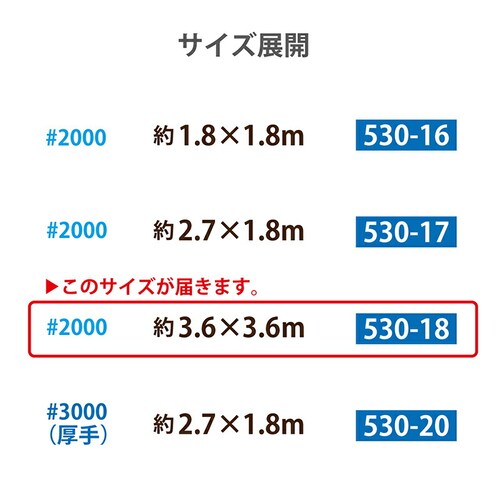 �u���[�V�[�g#2000 3.6�~3.6m_5