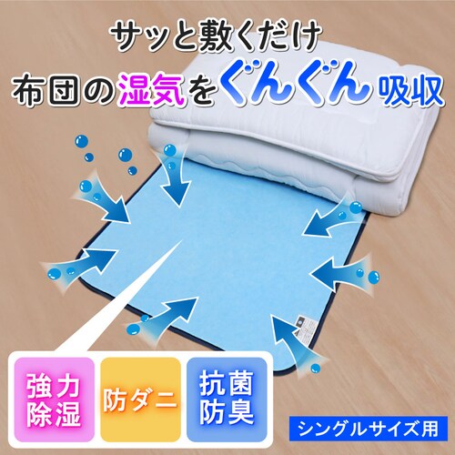 ドライ&ドライ 防ダニ抗菌防臭!吸湿マット シングル2枚組_1