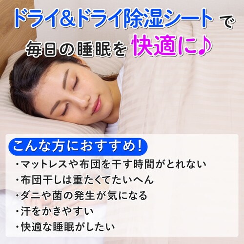 ドライ&ドライ 防ダニ抗菌防臭!吸湿マット シングル2枚組_5