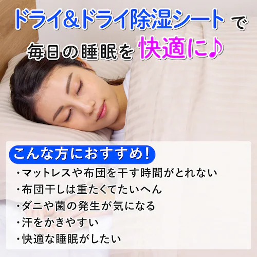 ドライ&ドライ 防ダニ抗菌防臭!吸湿マット シングル_5