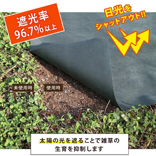 園芸用防草シート 1×10m 2セット+おさえピン40本付き_3