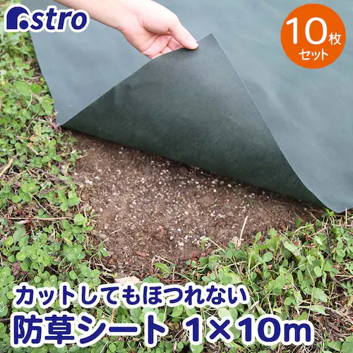 ���|�p�h���V�[�g 1�~10m 10����_6