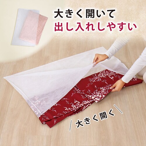 ���ʕs�D�z �����J�o�[ 10���g_3