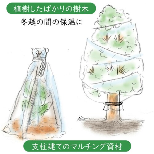 家庭菜園・園芸用 不織布シート1.6*10_5