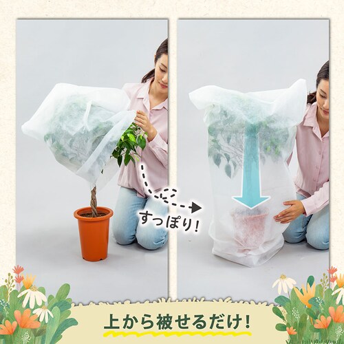 不織布防虫・霜よけカバー 10枚組_3