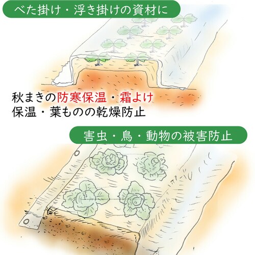 家庭菜園・園芸用 不織布シート1.6*5_4