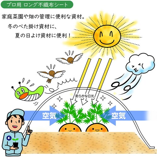 家庭菜園・園芸用 不織布シート1.6*5_6