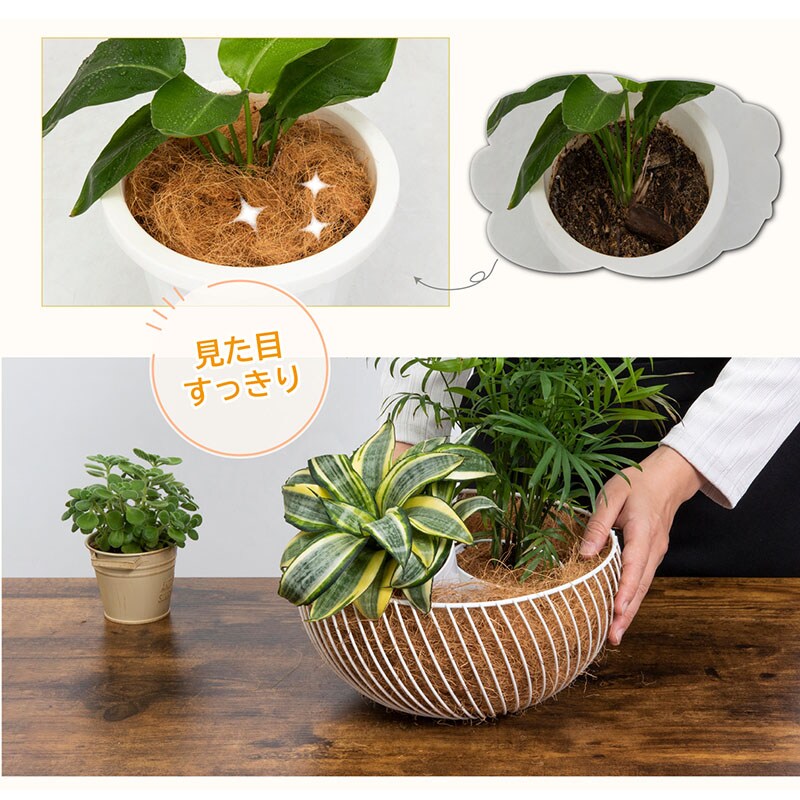 ココヤシファイバー 300g SE1039128│アイリスオーヤマ公式通販