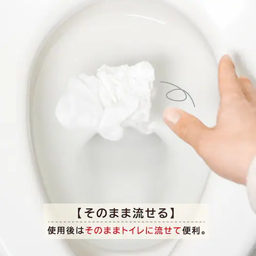 �֍��V�[�g70������(���{��)_3