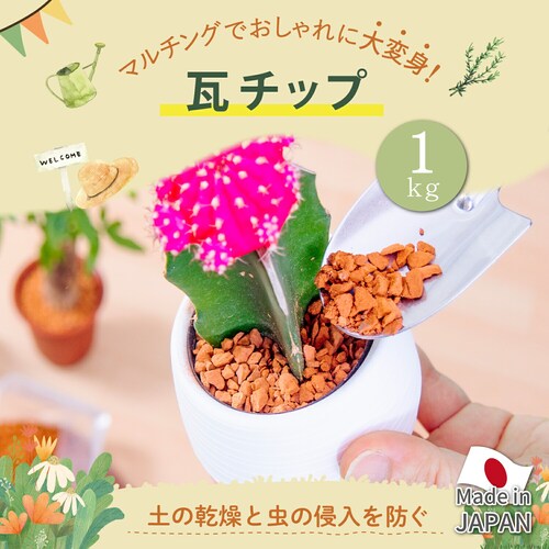 瓦チップ1キロ_1