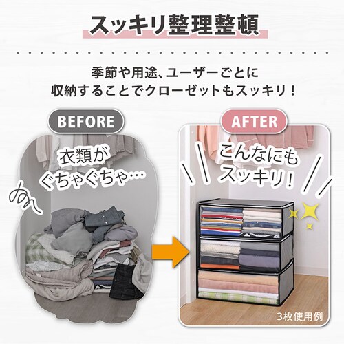 活性炭衣類整理袋 1枚 mp_5