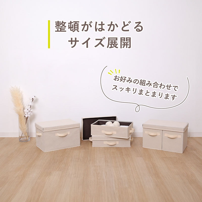 収納ボックス ふた付 薄型 ベージュ 2個組 SE1039220│アイリス