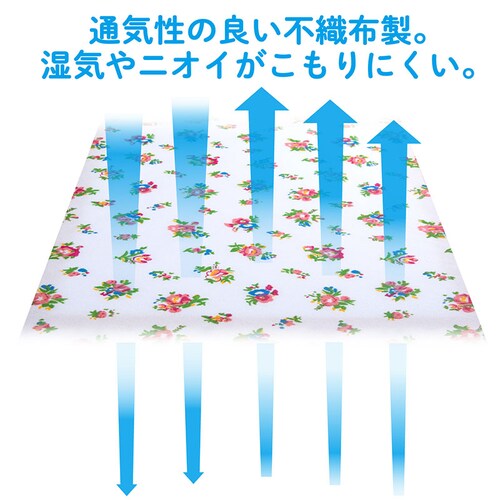 �v�`���[�Y �ߗސ����� 3���g_5