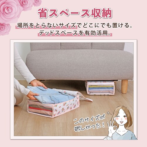 ���̃T�C�Y���~�������� ��10cm �ߗސ����� �v�`���[�Y 2���g_2