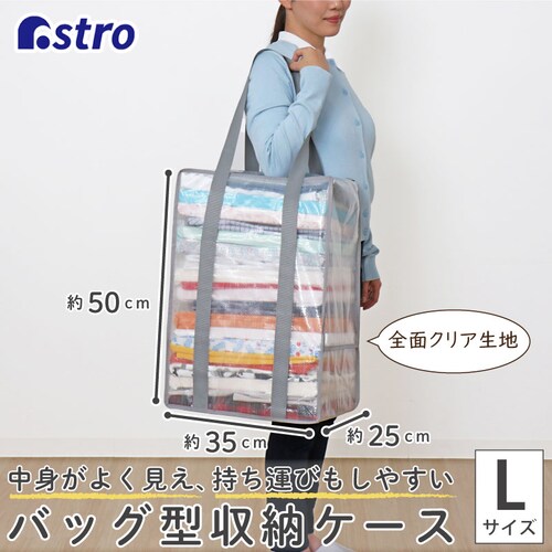 �ߗގ��[�o�b�O �N���A_1