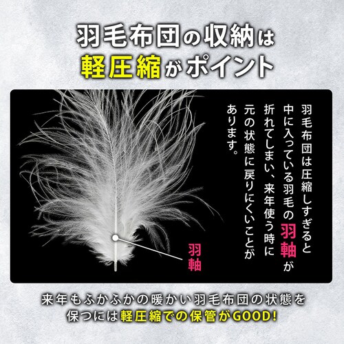 �]���y������L�H�ѕz�c���[�� ������t��_3