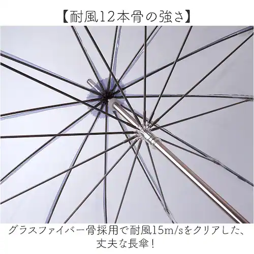 Wpc. �r�j�[�� ���P �ʔ� ���f�B�[�X �����Y �J�P ������� �傫�� 110cm ���[���h�p�[�e�B �P �傫�߃T�C�Y �r�j�[���P �ϕ� 12�{�� �ʋ� �ʊw ��J�� �~�J classic �V���v_2