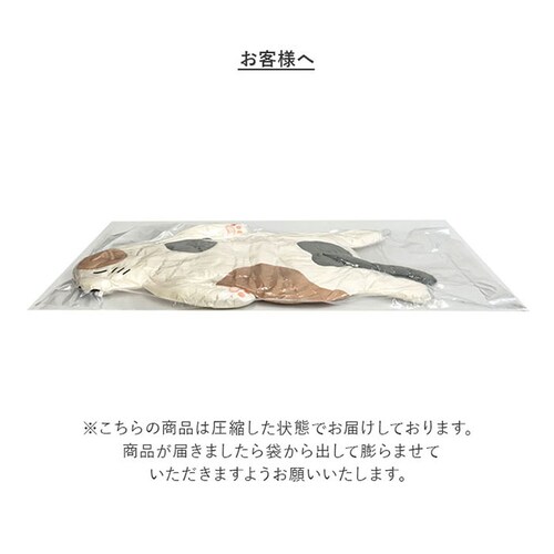 ������ �ʔ� �W���j�A�T�C�Y ���� ���낲�� �ӂ�ӂ� �������� �_�炩�� ���炩�� �������� �������� �������� �S���� �Ȃ܂����� �ɏ�̔������ �䂩������ ���[���炵�����Ȃ�_12