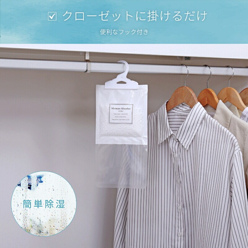 モイスチャー アブソーバー 除湿パック 10セット SE1044097│アイリス