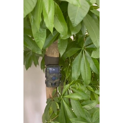 �z���s�v�@���j�^�[���ڐԊO���h�ƃJ�����@DL-240119_1