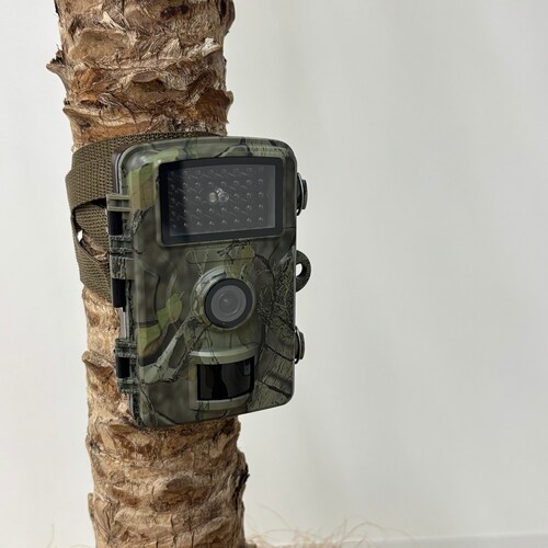 �z���s�v�@���j�^�[���ڐԊO���h�ƃJ�����@DL-240119_3